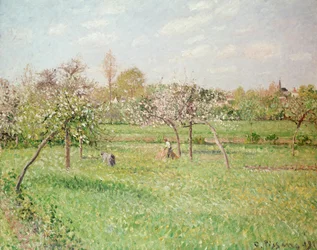Apfelbäume in Gragny, Nachmittagssonne, 1900